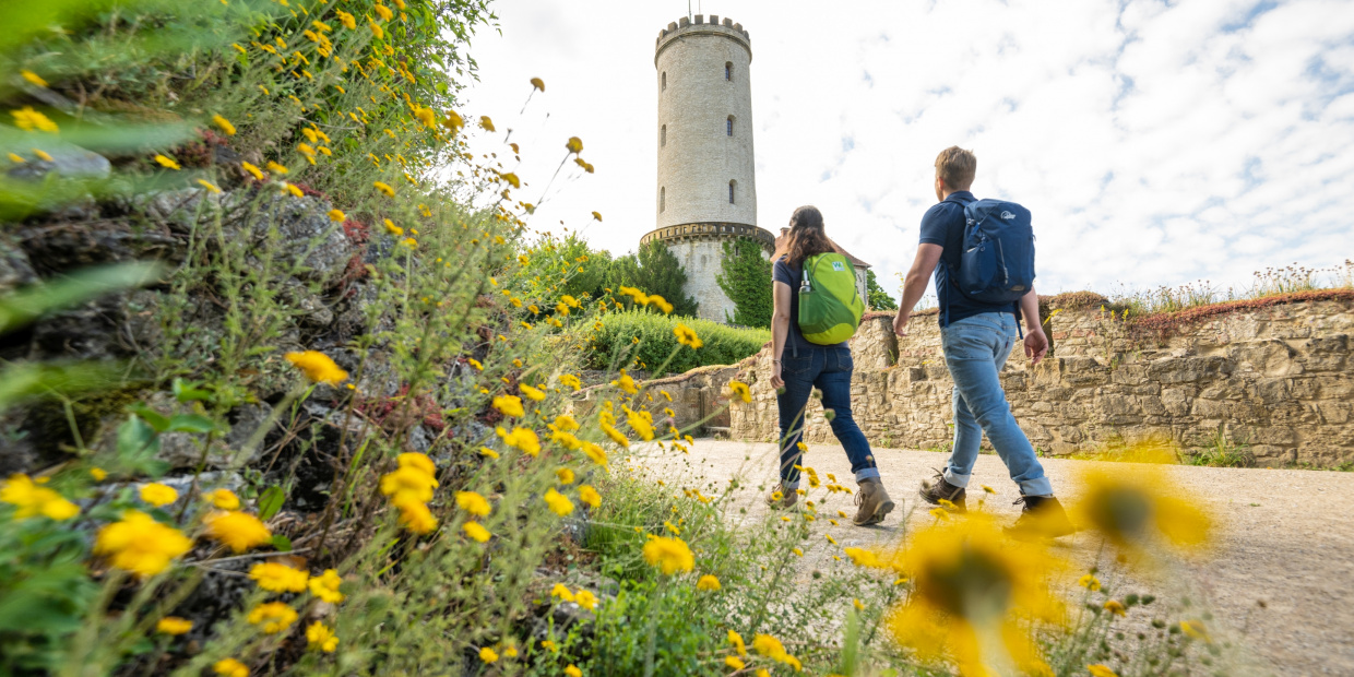 Wandern zum Sparrenburgturm