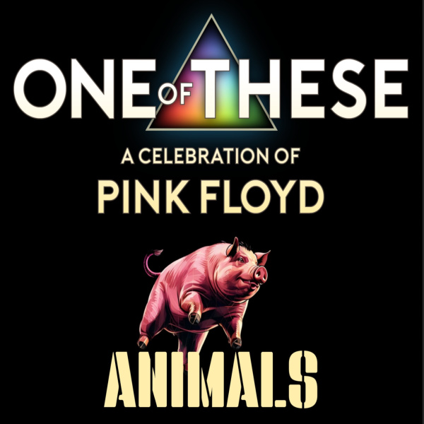 Plakat für "One of These Animals", Pink Floyd Tribute, mit rosa Schwein auf schwarzem Grund.
