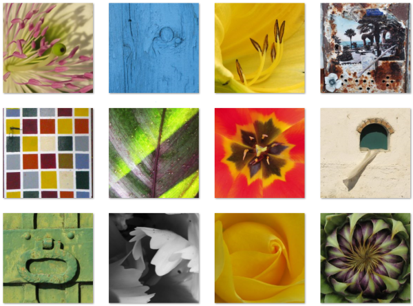 Das Bild zeigt Fotografien von Christina Augel